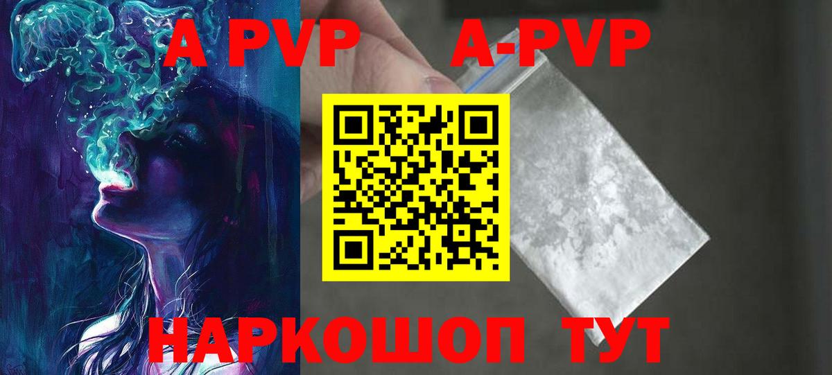 Alfa_PVP СК КРИС Гудермес