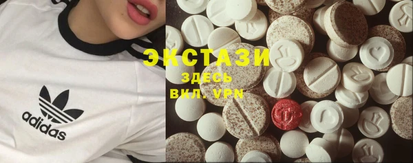 шишки Белокуриха