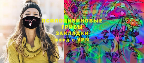 шишки Белокуриха