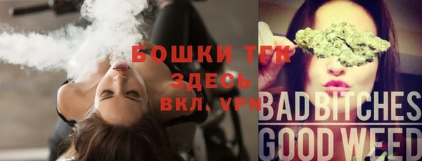 шишки Белокуриха