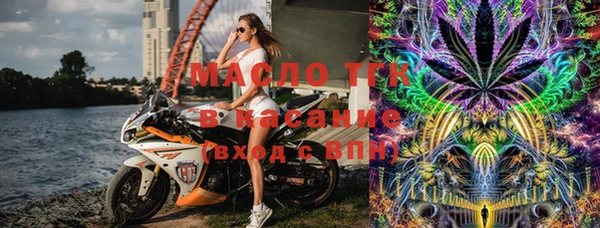 шишки Белокуриха