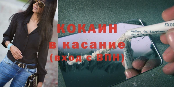 шишки Белокуриха