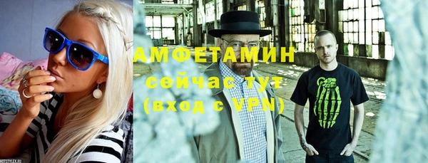 шишки Белокуриха