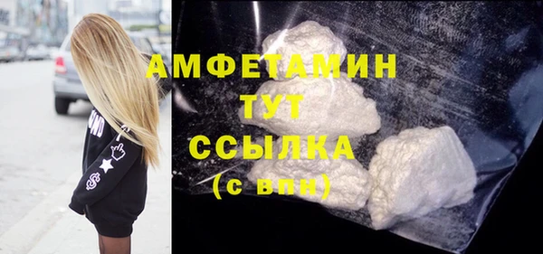 шишки Белокуриха