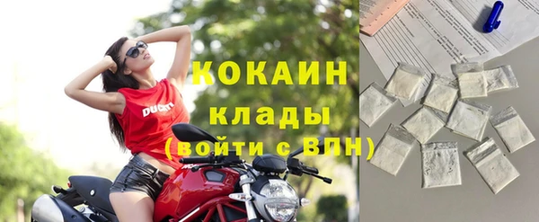 шишки Белокуриха