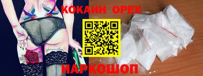 крисы Будённовск