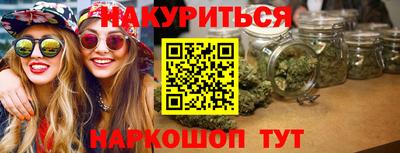 крисы Будённовск