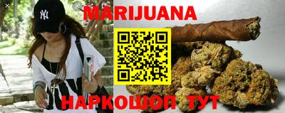 крисы Будённовск