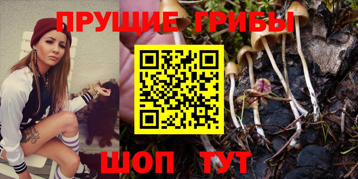 Псилоцибиновые грибы мухоморы Гудермес