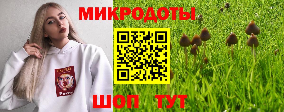 Псилоцибиновые грибы мухоморы  Гудермес  закладки  Галлюциногенные грибы Psilocybe 