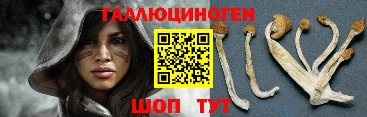 Псилоцибиновые грибы прущие грибы  Вход с VPN  Гудермес 